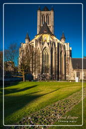 Gand (21) Église Saint-Nicolas