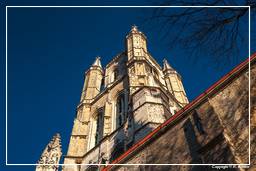 Gent (24) Sankt-Bavo-Kathedrale