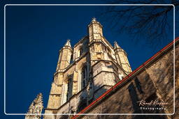 Gante (24) Catedral de San Bavón