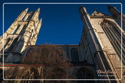Saint Bavo Cathedral, Ghent (29)