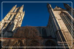 Gand (29) Cattedrale di San Bavone