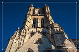 Gand (30) Cattedrale di San Bavone