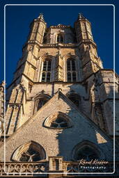 Gent (31) Sankt-Bavo-Kathedrale