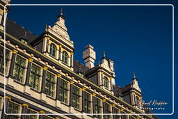 Town hall of Ghent, Ghent (36)