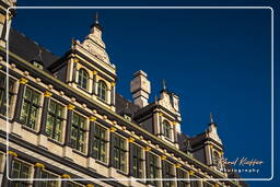 Gent (36) Genter Rathaus