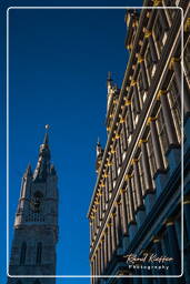 Town hall of Ghent, Ghent (39)