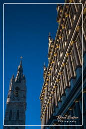 Gent (39) Genter Rathaus