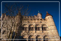 Gand (65) Gravensteen (Château des comtes de Flandre)