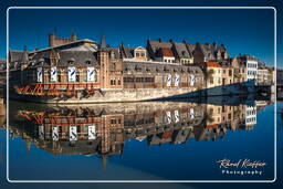 Lys, Ghent (77)