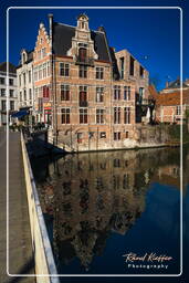 Grasbrug, Ghent (80)