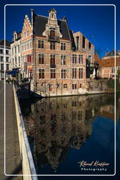 Ghent (80) Grasbrug