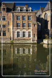 Lys, Ghent (84)