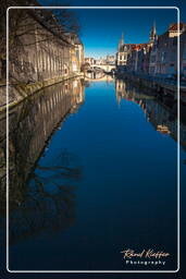 Lys, Ghent (85)