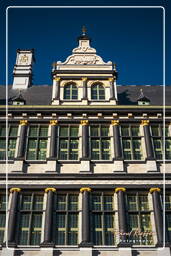 Ghent (89) Town hall of Ghent