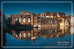 Lys, Ghent (146)