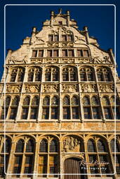 Ghent (152) Graslei (Grass quay) - Gildehuis der Vrije Schippers