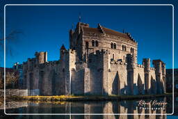 Ghent (161) Gravensteen (Castle of the Counts)