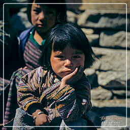 Bhutan (12)