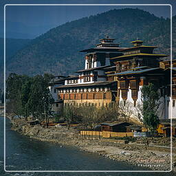 Punakha (2)