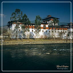 Punakha (4)