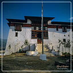 Punakha (5)