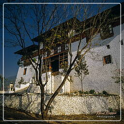 Punakha (6)