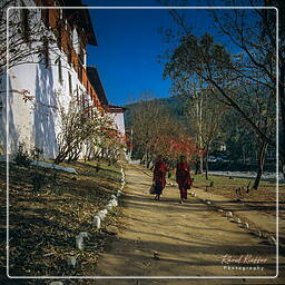 Punakha (8)