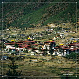 Thimpu (2)