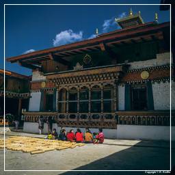Thimphu (4)