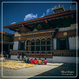 Thimphu (4)