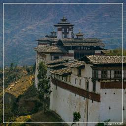 Wangdi Phodrang Dzong (2)