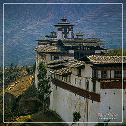 Wangdi Phodrang Dzong (2)