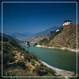 Wangdi Phodrang Dzong (3)