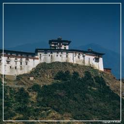 Wangdi Phodrang Dzong (4)