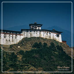 Wangdi Phodrang Dzong (4)