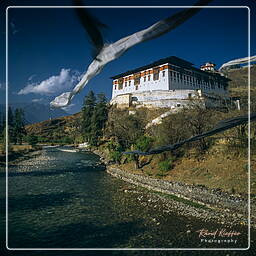 Festival of Paro, Paro (1)