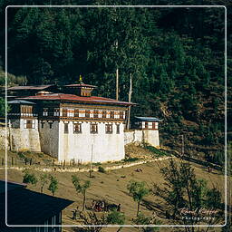 Festival of Paro, Paro (7)