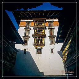 Festival of Paro, Paro (8)