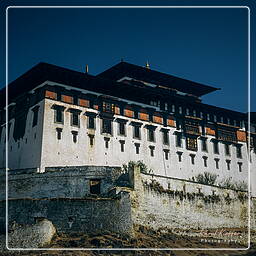 Paro (15) Festival of Paro