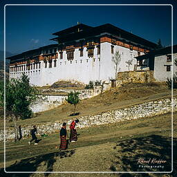 Festival of Paro, Paro (18)