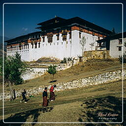 Paro (18) Festival of Paro