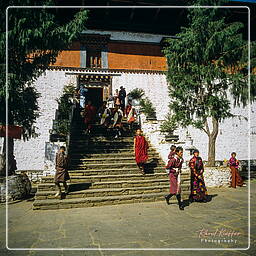 Paro (19) Festival of Paro