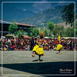 Festival of Paro, Paro (28)