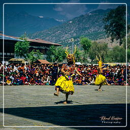 Paro (28) Festival of Paro