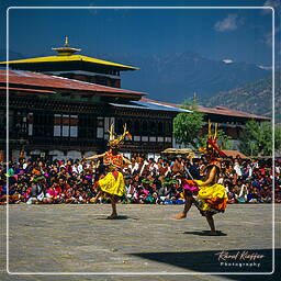 Paro (30) Festival of Paro