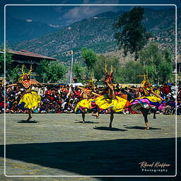 Paro (31) Festival of Paro