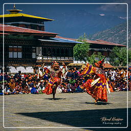 Festival of Paro, Paro (33)