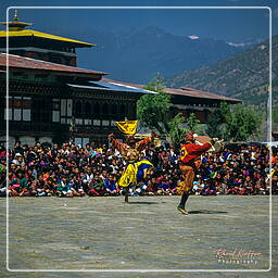 Paro (36) Festival of Paro