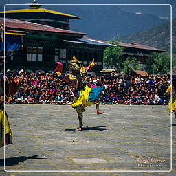 Festival of Paro, Paro (37)