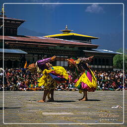 Paro (39) Festival of Paro